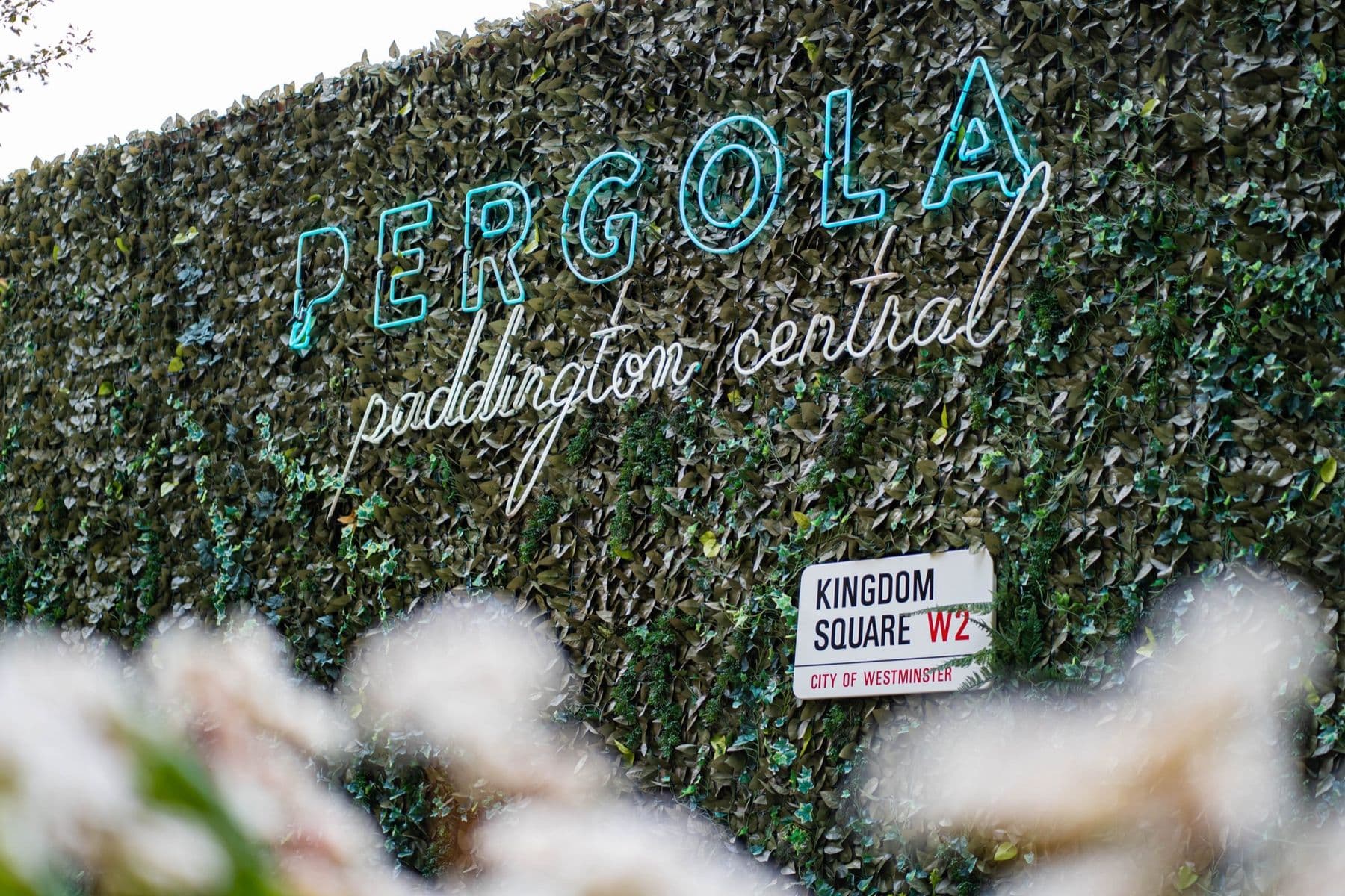 Pergola iškaba
