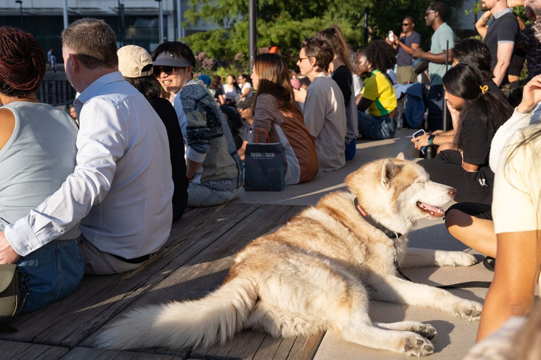 Nuolatinis lankytojas – „Round the Dock“ – šešių savaičių vasaros festivalis